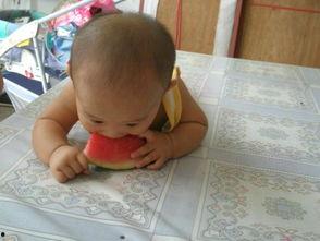 开心吃瓜小呆瓜,揭秘娱乐圈的欢乐与呆萌瞬间