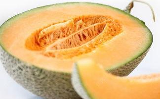 吃哈密瓜为什么很热气,哈密瓜为何“热气腾腾”？揭秘消暑水果的奇妙现象