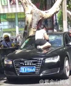 捉小三吃瓜,揭秘现代婚姻中的情感陷阱