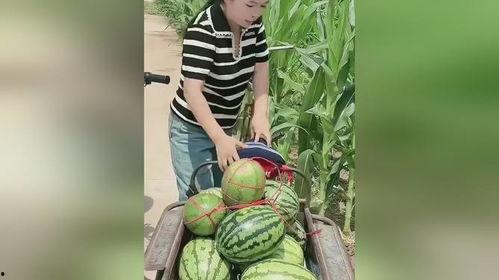 拿了个瓜吃,揭秘“拿了个瓜吃”的流行之谜