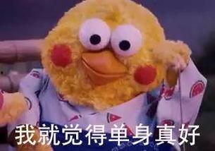 吃良心瓜,品味健康与诚信的甜蜜之旅