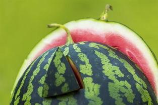 梦到吃瓜吐籽,揭秘吃瓜吐籽的神秘寓意