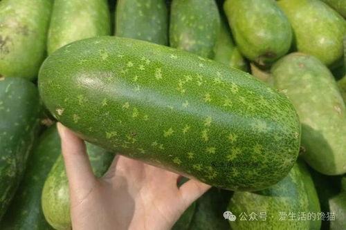 毛瓜咋吃呢,毛瓜的多样食用方法探索