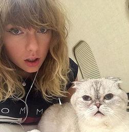 泰勒斯威夫特吃瓜,揭秘娱乐圈的甜蜜与苦涩