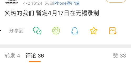 吃瓜录像犯法吗,法律边界与道德考量